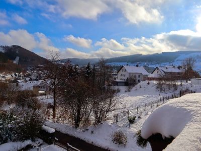 Ferienwohnung für 3 Personen (45 m²) in Willingen (Upland) 8/10