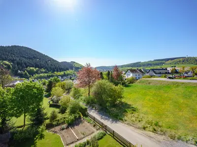 Ferienwohnung für 2 Personen (38 m²) in Willingen (Upland) 4/10
