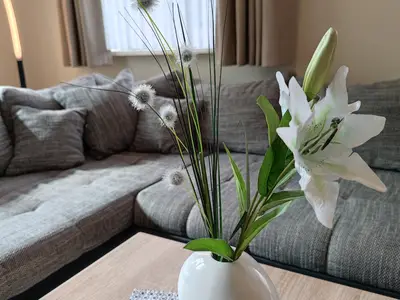 Ferienwohnung für 3 Personen (42 m²) in Willingen (Upland) 6/10