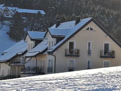 Ferienwohnung für 3 Personen (48 m²) in Willingen (Upland) 8/10