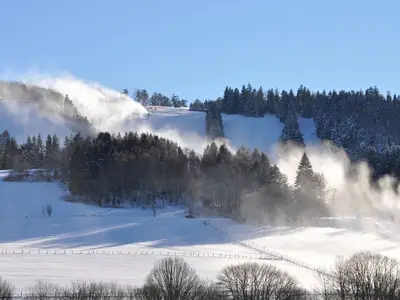 Ferienwohnung für 3 Personen (48 m²) in Willingen (Upland) 9/10