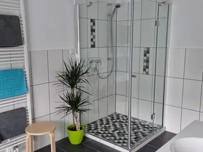Ferienwohnung für 7 Personen (110 m²) in Willingen (Upland) 6/10