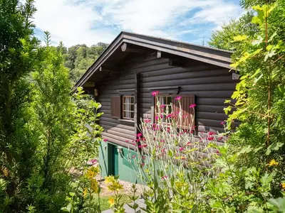 Ferienwohnung für 6 Personen in Willingen (Upland) 1/10