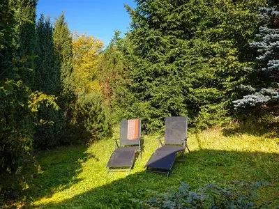Ferienwohnung für 4 Personen in Willingen (Upland) 4/10