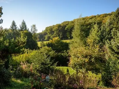 Ferienwohnung für 4 Personen in Willingen (Upland) 5/10