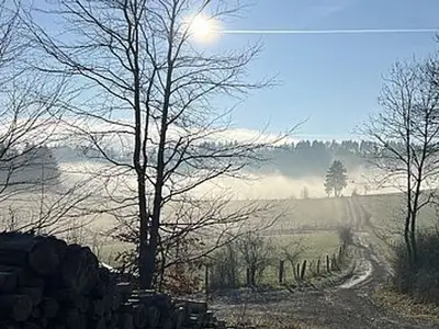 Ferienwohnung für 5 Personen in Willingen (Upland) 4/10