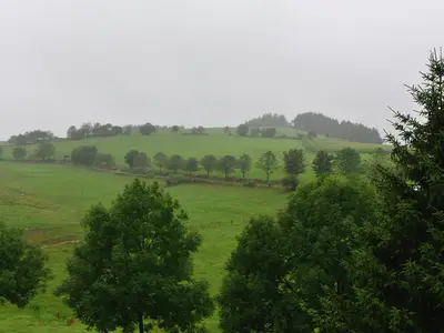 ViewSummer