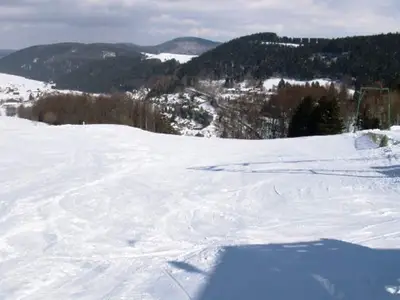 AreaWinter5KM