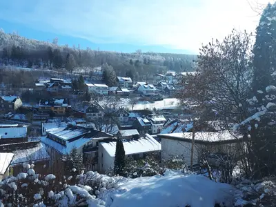 ViewWinter