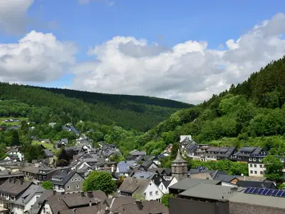 Ferienwohnung für 6 Personen (59 m²) in Willingen (Upland) 6/10