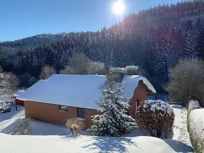 Ferienwohnung für 6 Personen (90 m²) in Willingen (Upland) 9/10