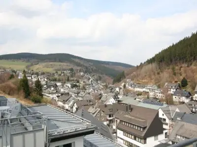 Ferienwohnung für 4 Personen (66 m²) in Willingen (Upland) 8/8