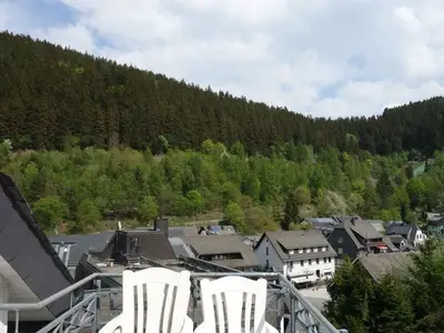 Ferienwohnung für 6 Personen (60 m²) in Willingen (Upland) 9/9
