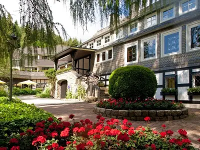 Ferienwohnung für 4 Personen in Willingen (Upland) 4/10