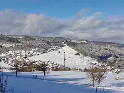 Ferienwohnung für 3 Personen (35 m²) in Willingen (Upland) 10/10