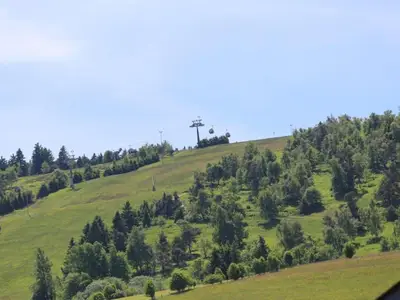 Ferienwohnung für 4 Personen (52 m²) in Willingen (Upland) 9/10
