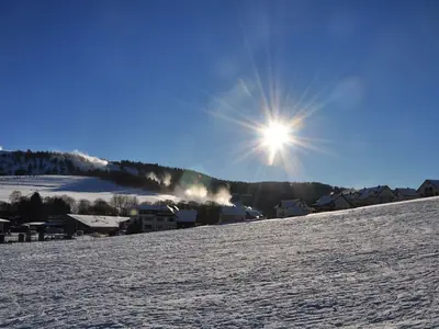 Ferienwohnung für 3 Personen (48 m²) in Willingen (Upland) 9/10