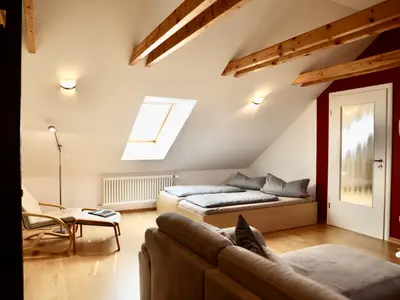 Wohn-/Schlaf-/Küchenbereich