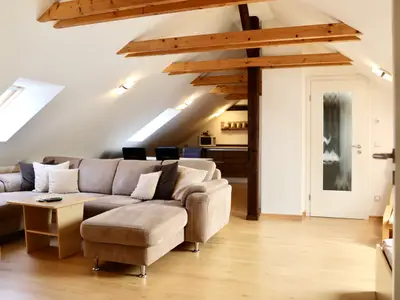 Wohn-/Schlaf-/Küchenbereich