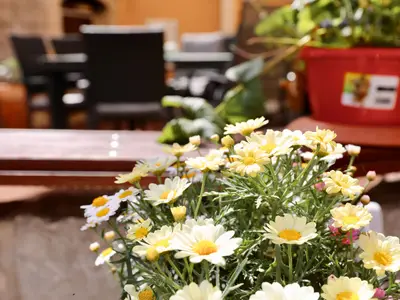 Blumen