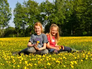 Ferienwohnung für 4 Personen (80 m²) in Wilsum