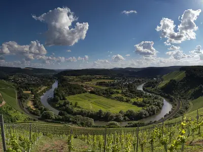 Saarbogen bei Wiltingen