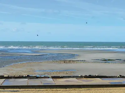 view-from-room