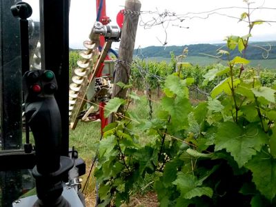 Arbeiten im Weinberg