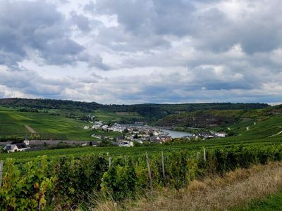 Blick ins Moseltal