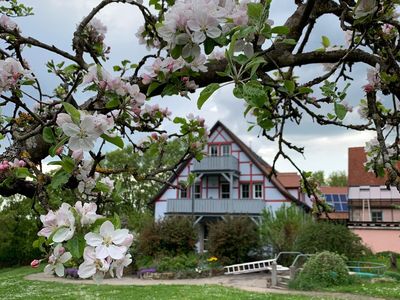 Ferienwohnung für 5 Personen in Windelsbach 2/10