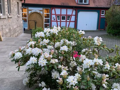 Ferienwohnung für 5 Personen in Windelsbach 1/10