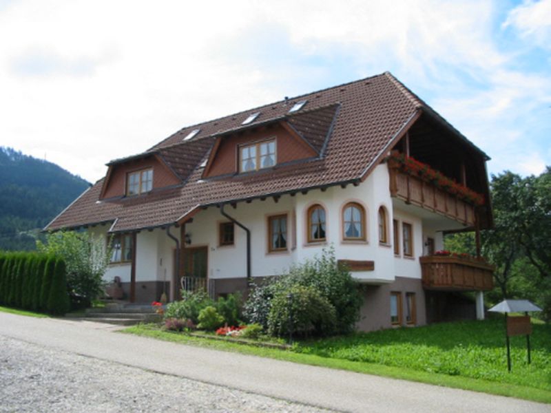 22247237-Ferienwohnung-4-Winden im Elztal-800x600-2