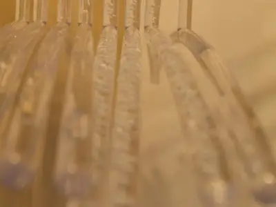 Ferienwohnung für 9 Personen (113 m²) in Winden im Elztal 10/10