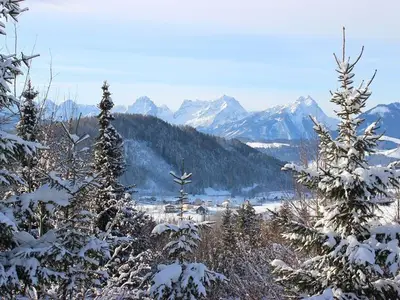 Ferienwohnung für 4 Personen (45 m²) in Windischgarsten 8/10