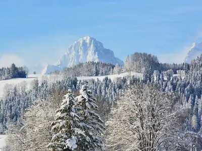 Ferienwohnung für 4 Personen (45 m²) in Windischgarsten 9/10