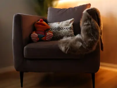 Ferienwohnung für 3 Personen in Windsbach 4/10