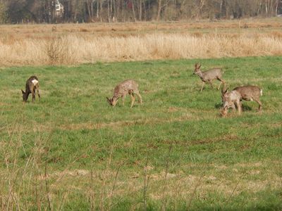 Besuch vor dem Haus auf den Moorwiesen