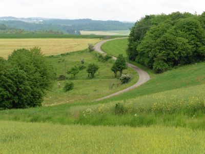 Zufahrtsstraße ins Dorf