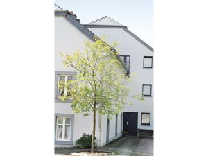 23732130-Ferienwohnung-6-Winseler-300x225-4