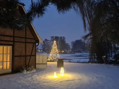 Großer Lichterbaum im Garten