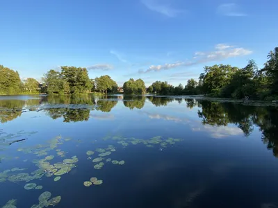 Seeblick