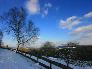 22141541-Ferienwohnung-2-Winterberg-300x225-2