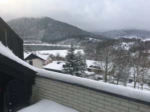 22202283-Ferienwohnung-6-Winterberg-300x225-0