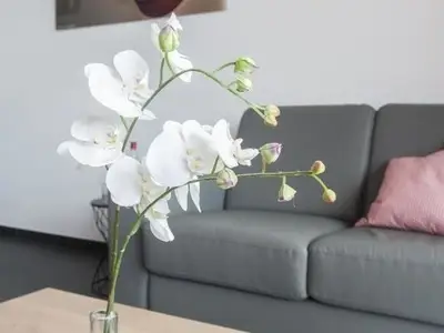 Ferienwohnung für 4 Personen (65 m²) in Winterberg 8/10
