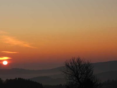 Ferienwohnung für 4 Personen (45 m²) in Winterberg 2/10