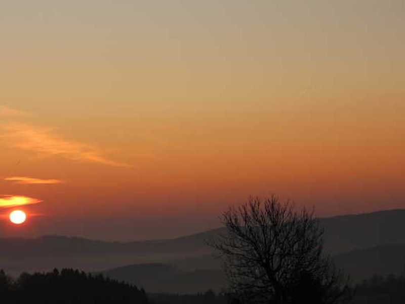 22768371-Ferienwohnung-4-Winterberg-800x600-1