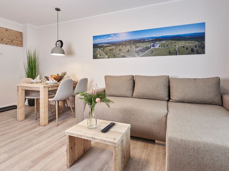 23833886-Ferienwohnung-4-Winterberg-800x600-0