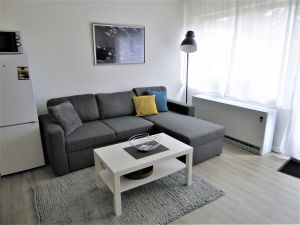 Ferienwohnung für 4 Personen (50 m²) in Winterberg