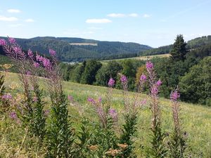 22261481-Ferienwohnung-4-Winterberg-300x225-3