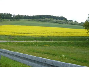 22100425-Ferienwohnung-5-Winterberg-300x225-3